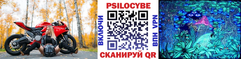 где найти наркотики  Новокубанск  Галлюциногенные грибы Magic Shrooms 