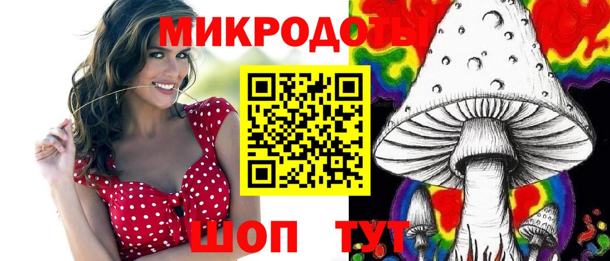 Галлюциногенные грибы Cubensis Новокубанск